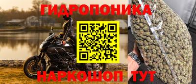 хмурый Заводоуковск