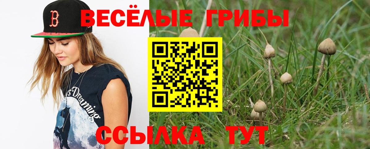 Кулебаки  Псилоцибиновые грибы Psilocybe  Псилоцибиновые грибы прущие грибы  Вход с VPN 